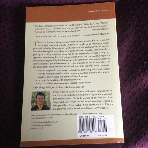 Pema Chodron When Things Fall Apart Paperback Buudhist - Picture 6 of 8